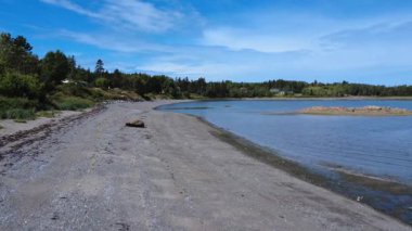 Kum, çakıl taşı plajı, kayalık bir adası ve bulutlu bir gökyüzünün altında ağaçlık bir kıyı şeridi olan huzurlu bir kıyı manzarası. Anse du Petit Metis, Quebec, Kanada, 2025.