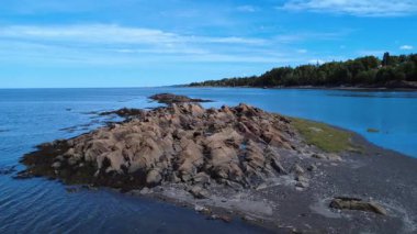 Engebeli, kayalık bir oluşum sakin mavi bir denize dönüşür, deniz yosunlarıyla benekli, ağaçlar kıyı boyunca uzanır. Anse du Petit Metis, Quebec, Kanada, 2025.