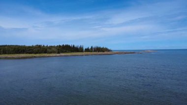 Ağaçlarla kaplı bir adayı, sakin mavi suları ve uçsuz bucaksız gökyüzünü tasvir eden sakin bir sahil manzarası. Doğa, seyahat ve peyzaj koleksiyonları için idealdir. Huzuru, kaçışı ve açık hava keşiflerini çağrıştırır..
