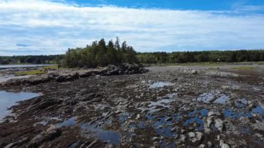 Engebeli bir kıyı manzarası, gelgit havuzları ve parlak mavi gökyüzünün altında, St. Lawrence Nehri 'nin ıslak çamurlu düzlükleri arasında ormanlık kayalık bir adacık. Anse du Petit Mitis, Quebec, Kanada, 2025.
