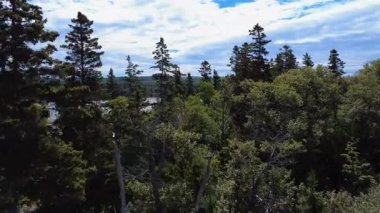 Ağaç tepelerinde uçan bir dron tarafından çekilen video bulutlu bir gökyüzünün altındaki küçük bir körfezin panoramik görüntüsünü sunuyor. Metis-sur-Mer, Quebec, Kanada, 2025.