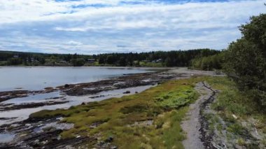 Huzurlu bir sahil manzarası, kıyı boyunca ağaçlar, sakin sular ve uzaktaki evler ile çevrili çimenli bir sahil ve kayalık bir resifi gözler önüne seriyor. Metis-sur-Mer, Quebec, Kanada, 2025.