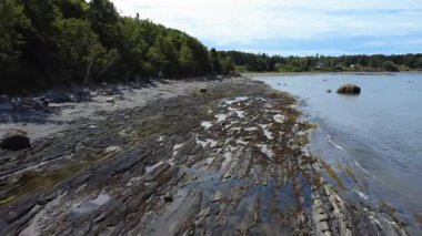 St. Lawrence Nehri, Metis-sur-Mer, Quebec, Kanada 'nın kıyısında yemyeşil bir ormanla çevrili kayalık deniz tabanını gösteren bir kumsal manzarası..