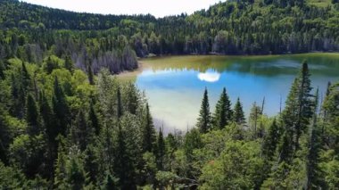 Ayna benzeri turkuaz sularla küçük bir göle inen bir dron tarafından çekilen video karışık ormanın tepelerinden geçerek kumlu dibini açığa çıkarıyor. Joram Gölü, Sainte-Irene, Quebec, Kanada, 2025.