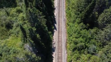 Yeşil bir ormanın tepelerinde uçarken demiryolu hattının yanından geçiyor..