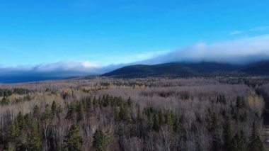 Sonbaharda yaprakları olmayan karışık bir ormanın havadan görünüşü mavi gökyüzünün altındaki bulutlarla kaplı Appalachian dağ sırasına doğru. Matapedia Vadisi, Quebec, Kanada, 2025.