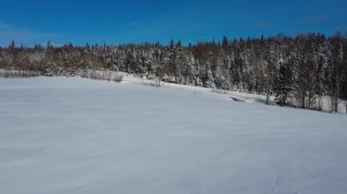 İnsansız hava aracı videosu karla kaplı bir arazinin üzerinden ormana yakın bir kır yoluna doğru uçuyor. Ağaçları mavi gökyüzünün altında taze karla dolu. Saint-Leandre, Quebec, Kanada.