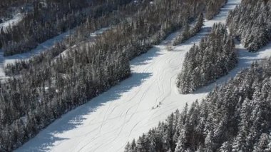 Üç kayakçı, açık hava macerası sahnesinde kış güneşi altında kayak izlerini takip ederek, yoğun ve taze karla kaplı bir ormanla çevrili el değmemiş bir yamaçtan tek sıra halinde yükselirler. Mont-Castor, Matane, Quebec, Kanada, 2026.