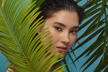 Mavi arka planda tropik bitki yapraklarıyla çevrili doğulu kız. Güzel esmer portre. Kozmetik ürünler, yüz bakımı, güzellik salonunda cilt bakımı, spa. Kapat..