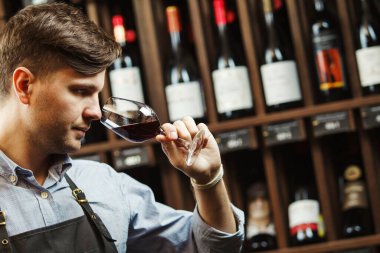 Sommelier, Bokal 'ın arka planında şarap ve mahzende şişe kokusu alıyor. Erkek, renkleri, kaliteyi ve içki tortularını takdir eder. Şarap yapımında profesyonel degustation uzmanı.