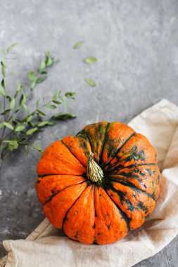 Turuncu kabak ve yeşillik