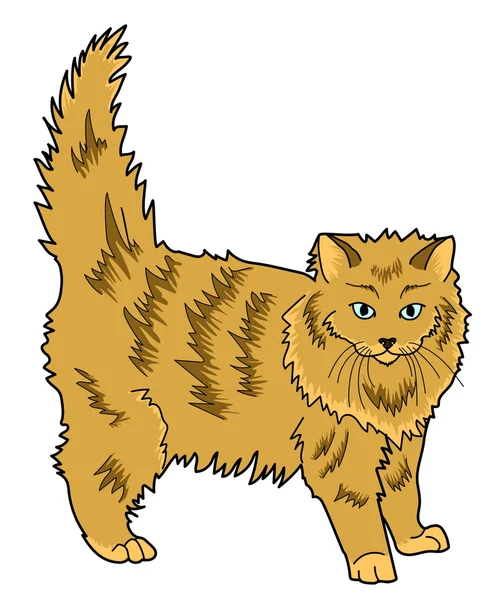 3/4 kedi