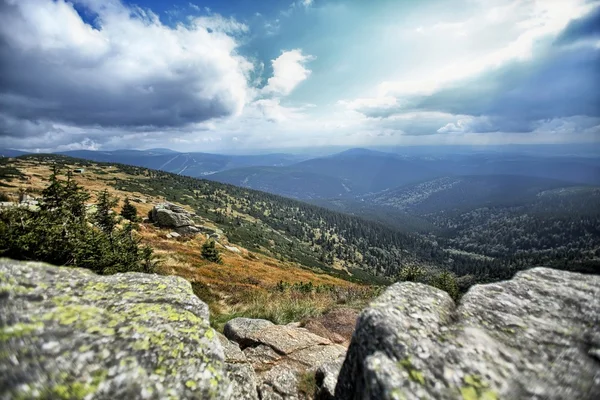 Kayalarla kaplı dağ manzarası
