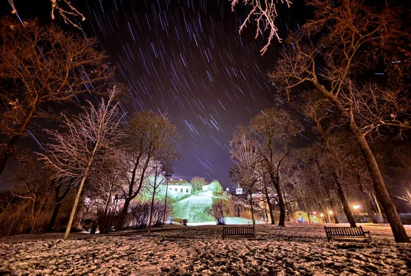 Gece gökyüzü ağaçlar ve kale