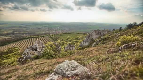 Прекрасний часовий проміжок з сонячним світлом — стокове відео