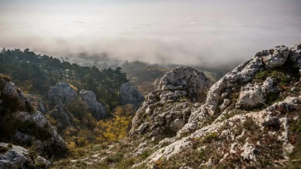 Zeitraffer bei niedrigen Wolken — Stockvideo