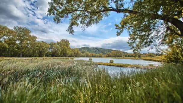 Natur Der Tschechischen Republik Schöner Platz Mit Teich Zeitraffer — Stockvideo