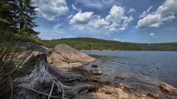 Vacker Utsikt Över Dammen Med Time Lapse Sky Tjeckien — Stockvideo