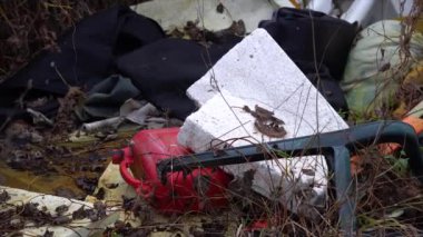 Vahşi doğada çöp. Doğada israf