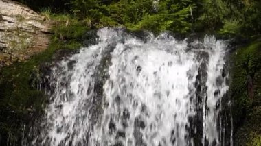 Şelaleden akan bir dere. Ormanda akıyor. Yavaş çekim