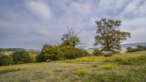 Tijdsverloop Van Prachtige Natuur Witte Karpaten Tsjechië — Stockvideo