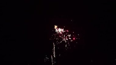 Ulusal bayram kutlamaları sırasında gece karanlığında havai fişekler patlıyor..