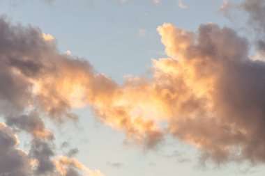 Akşam gökyüzünde yumuşak pastel renkli bulutlar Hollanda üzerindeki sıcak güneş ışığıyla aydınlatılıyor. Gün batımında huzur, sükunet ve doğal güzelliği temsil eden sakin ve atmosferik doğa sahnesi.