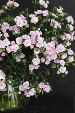 Çiçek açan Dianthus caryophyllus (pembe sprey karanfiller) dolu cam bir vazo. Soluk pembe yaprakların ve koyu yeşil yaprakların kontrastı, doğal çiçekli güzelliğin tazeliğini, hassasiyetini ve inceliğini vurgular.