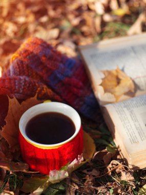 Sonbahar aşkı. Kırmızı bardakta bir fincan sıcak kahve ve eski bir kitap. Ilık sonbahar örgü atkısı .