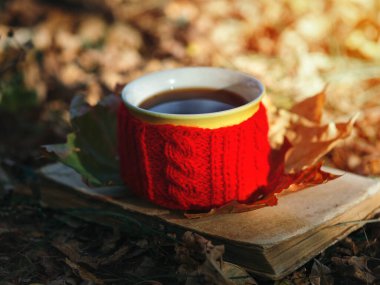 Sonbahar aşkı. Kırmızı bardakta bir fincan sıcak kahve ve eski bir kitap. Ilık sonbahar örgü atkısı .