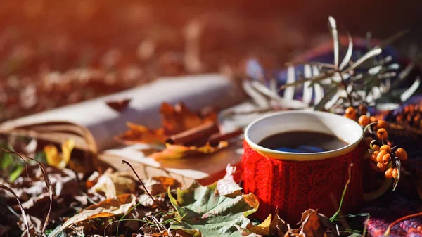 Autumn Lifestyle Concept Romance Autumn Mug Hot Coffee Old Book — Stock Photo, Image