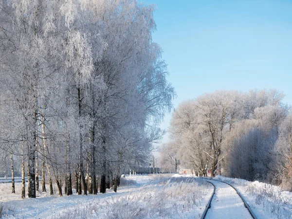 Winter Landscape Old Snow Covered Railway Birch Frost Early Morning — Stock Photo, Image