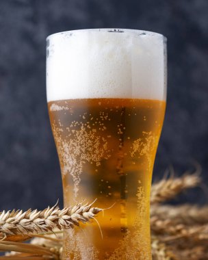 Koyu bir duvara karşı bir bardak bira.