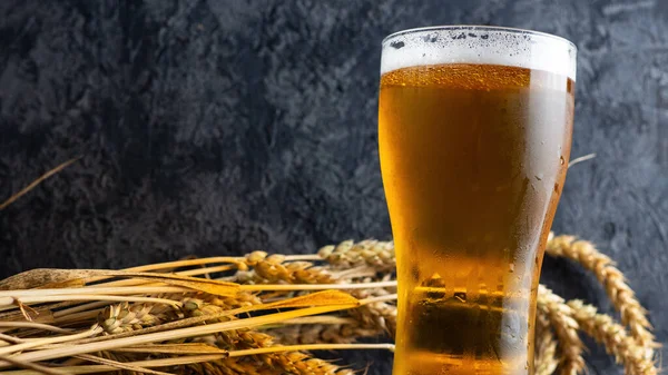 Sklenice Studeného Pšeničného Piva Zblízka Tmavém Pozadí Ušima Pšenice — Stock fotografie