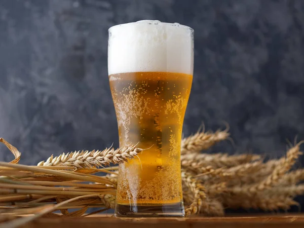 Ein Glas Bier Gegen Eine Dunkle Wand — Stockfoto