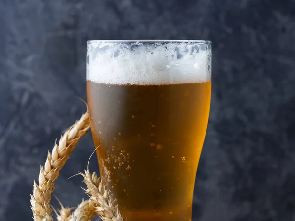 Koyu Bir Duvara Karşı Bir Bardak Bira — Stok fotoğraf
