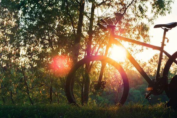 산악자전거는 있어요 활동적 자전거타기 — 스톡 사진