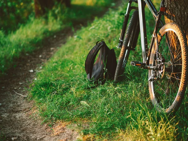 Mountain Bike Está Floresta Pôr Sol Estilo Vida Ativo Verão — Fotografia de Stock