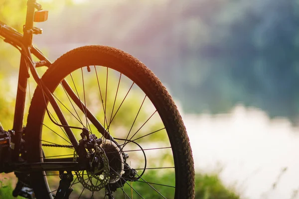 Closeup of the rear wheel of a mountain bike on the background of the river in summer at sunset