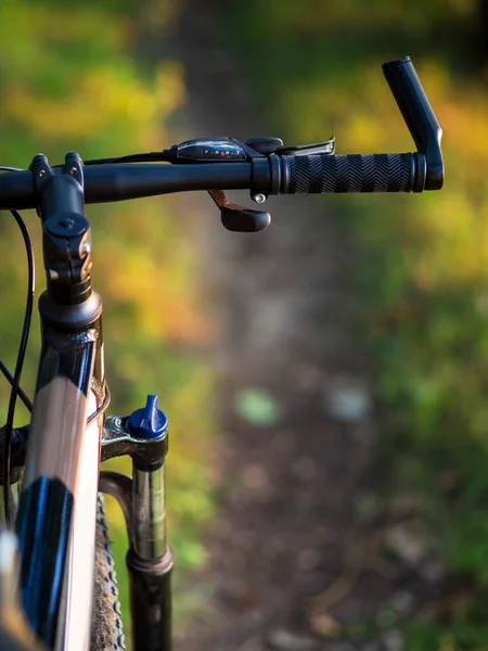 Close Mountain Bike Forest Sunset Copyspace — 스톡 사진