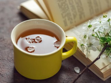 Bahar çiçekli kiraz dalı, bir fincan çay ve bir kitap.
