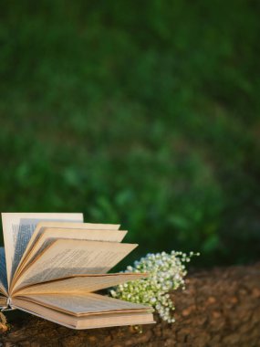 Bir kitap ve bir buket çiçek devrilmiş bir ağacın üzerinde yatıyor. Hobilerin ve boş zamanların doğası. Bir yaz akşamı parkta bir kitap oku.