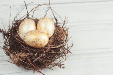 Tahta beyaz arka planda gerçek bir yuvadaki Paskalya yumurtaları