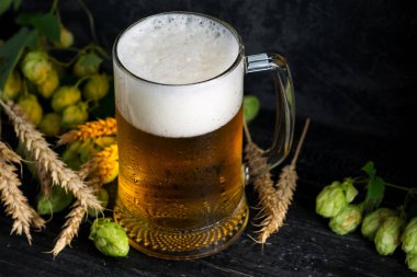 Koyu arkaplanda yeşil zıpzıp ve buğday fotokopi alanı kulaklı bir kupa light bira.