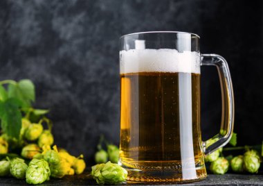 Koyu bir arka planda yeşil şerbetçiotlu bir bardak light bira.