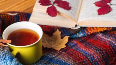 Masanın üzerinde renkli bir sonbahar eşarbında bir kupa kokulu çay ve eski bir kitap.