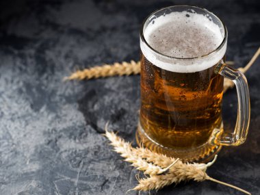 Copyspace ile koyu bar masasında Pilsner bira kupası