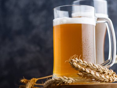 İki bardak buğday birası ve kopyalanmış buğday kulağı.