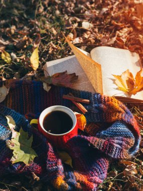 Sonbahar yeşilliklerinde bir kupa sıcak kahve renkli bir eşarp ve eski bir kitapla. Doğadaki doğal rahatlama. Sonbahar yaşam tarzı