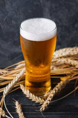 Koyu ahşap bir masada buğday kulaklı, hafif bira bardağı.